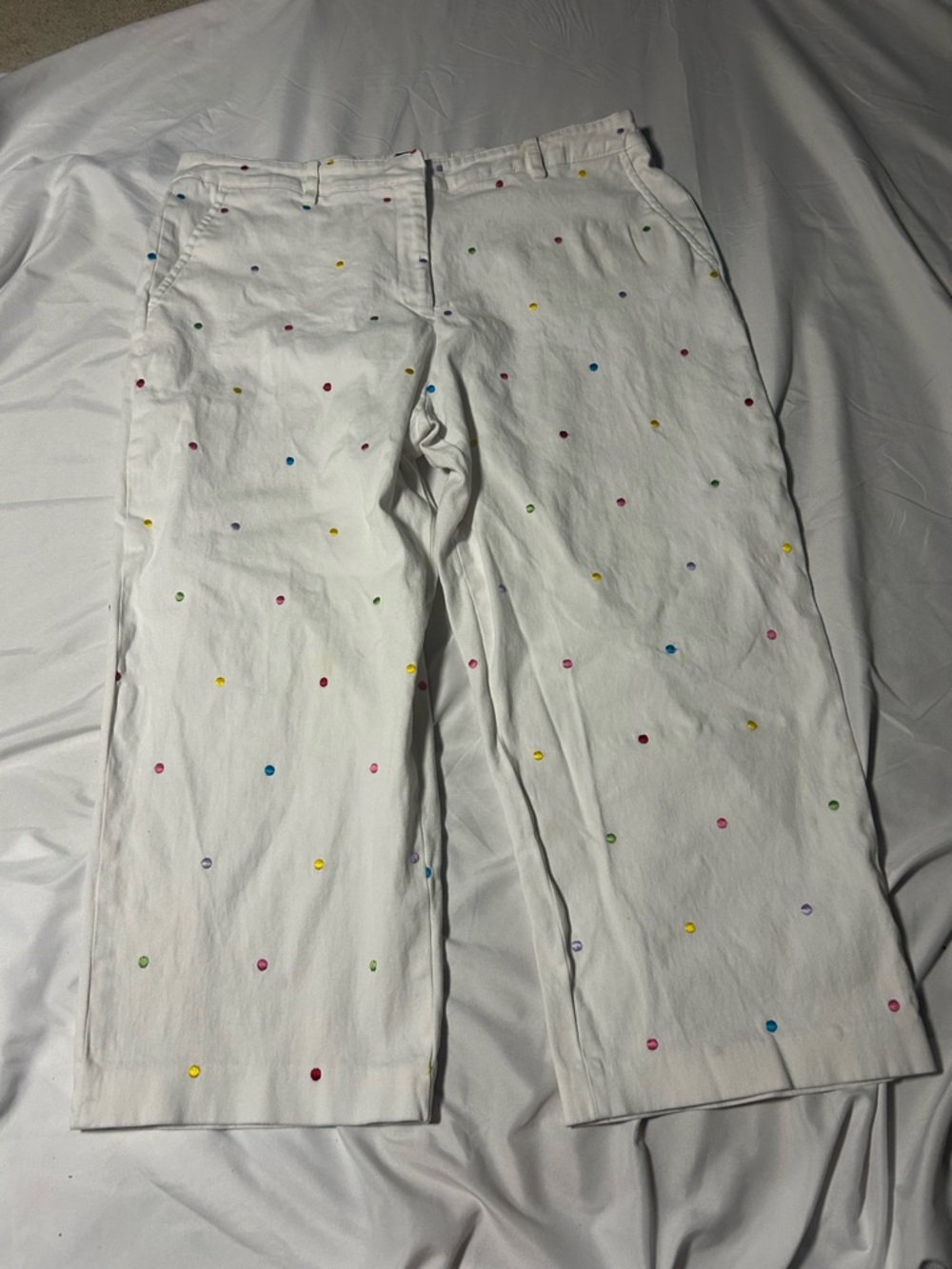 Briggs New York Womens Capri Pants White Embroidered Polka Dots Size 16 - Picture 3 of 13